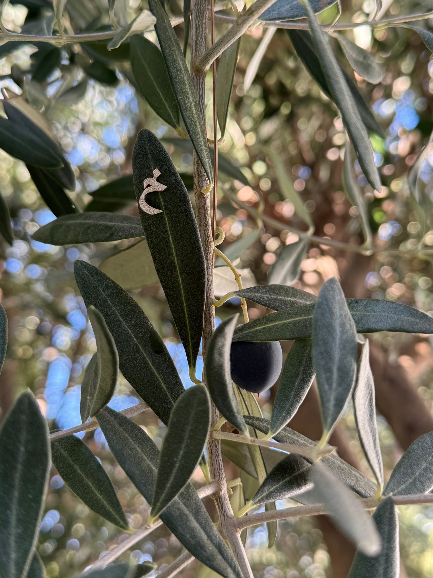 Arabic Letter Diamond Stud Earring