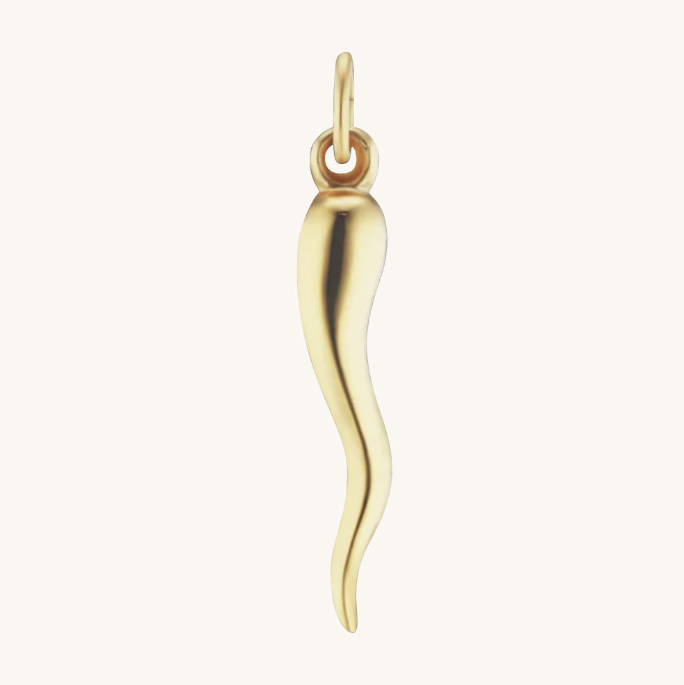 Lucia Italian Cornicello Charm